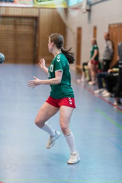 Bild 203 - F HSG Kre/Mue - HFF Munkbrarup : Ergebnis: 49:20